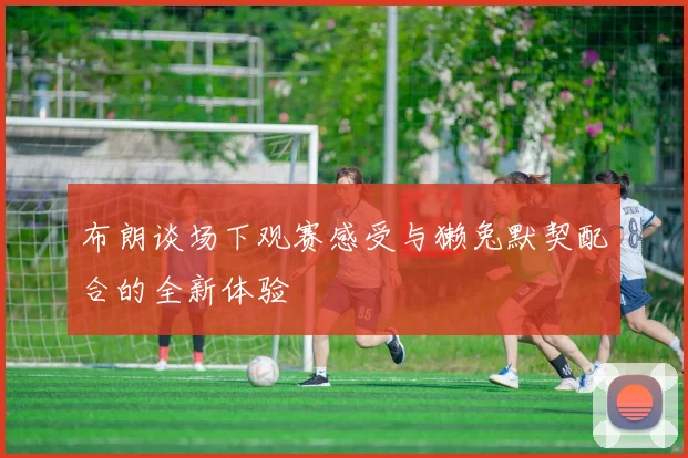 布朗谈场下观赛感受与獭兔默契配合的全新体验